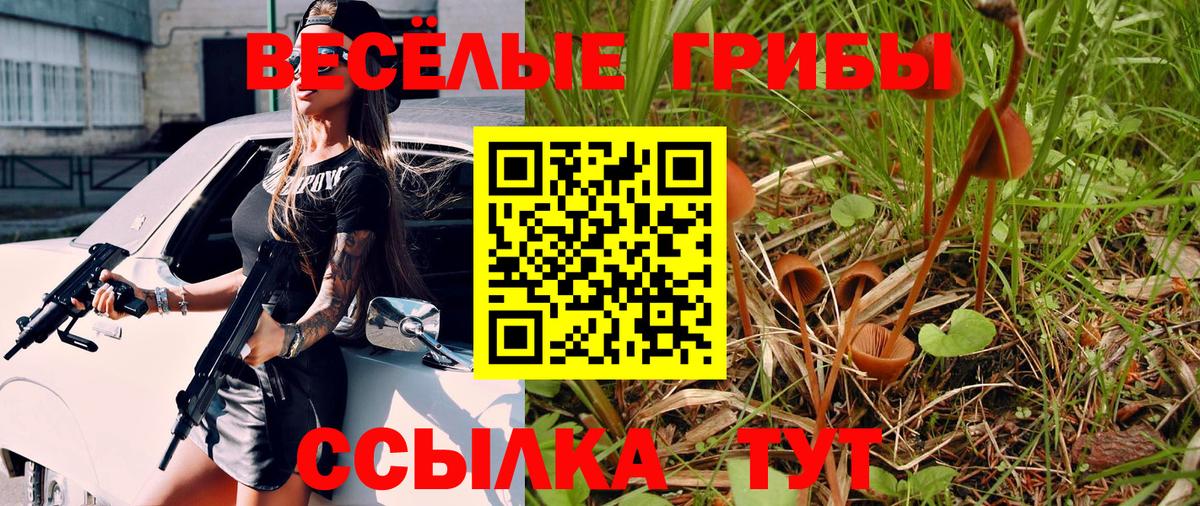 Галлюциногенные грибы прущие грибы  Псилоцибиновые грибы GOLDEN TEACHER  Сосновоборск  Вход с VPN 